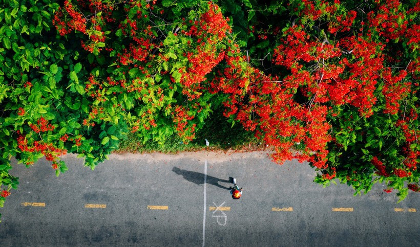 Les voyageurs vietnamiens optent de plus en plus pour des séjours courts à l'étranger et des expériences originales à l'occasion des congés du 30 avril et du 1er mai. Photo: VietnamPlus