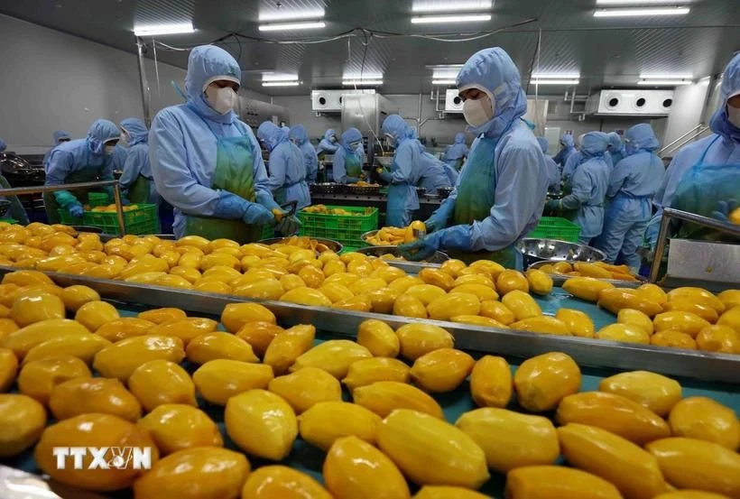 Un établissement de la société B'LaoFood à Lam Dong. Photo: VNA