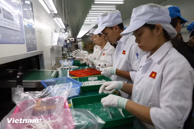 L’augmentation du taux de localisation de l’industrie de sous-traitance constitue un levier essentiel pour réduire la dépendance aux importations, renforcer la compétitivité et consolider les bases du développement industriel national. Photo: VNA