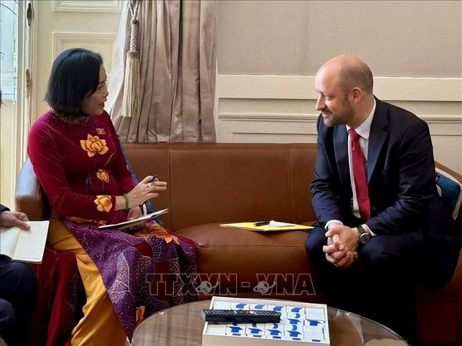 La vice-présidente de l’Assemblée nationale du Vietnam, Nguyen Thi Thanh, et le vice-président du Sénat, Loïc Hervé. Photo; VNA