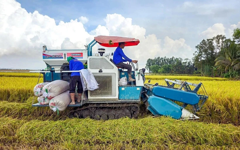 L’une des mesures efficaces pour accélérer la mise en œuvre du projet est l’application des technologies numériques et vertes. Photo: tuoitre.vn