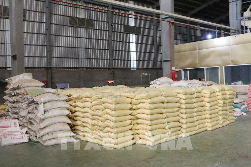 Le Premier ministre ordonne des mesures pour développer la production et l’exportation de riz. Photo: VNA
