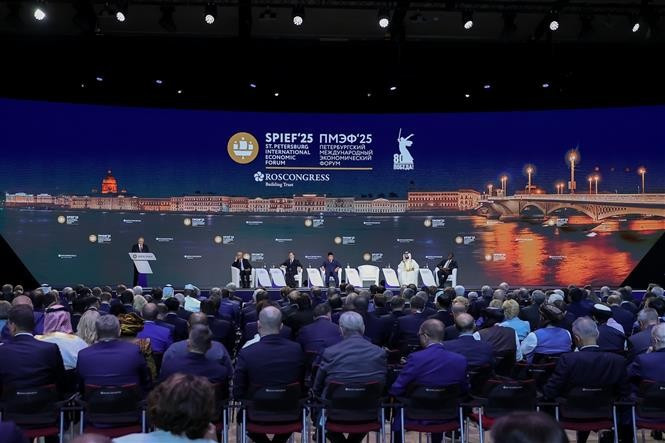 Séance plénière du SPIEF 28. Photo: VNA