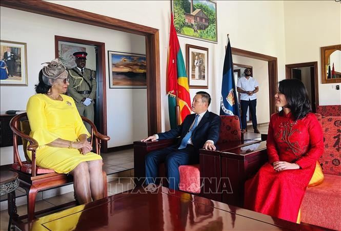 La gouverneure générale de la Grenade, Cecile La Grenade reçoit l’ambassadeur vietnamien Vu Trung My et son épouse. Photo: VNA