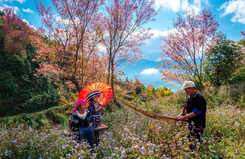 Les festivals du Khen (flûte de Pan) et des fleurs de pêcher sauvage de l'ethnie Mong, et les activités en l'honneur du Nouvel An sont prévus du 27 décembre 2024 au 2 janvier 2025. Photo: VNA