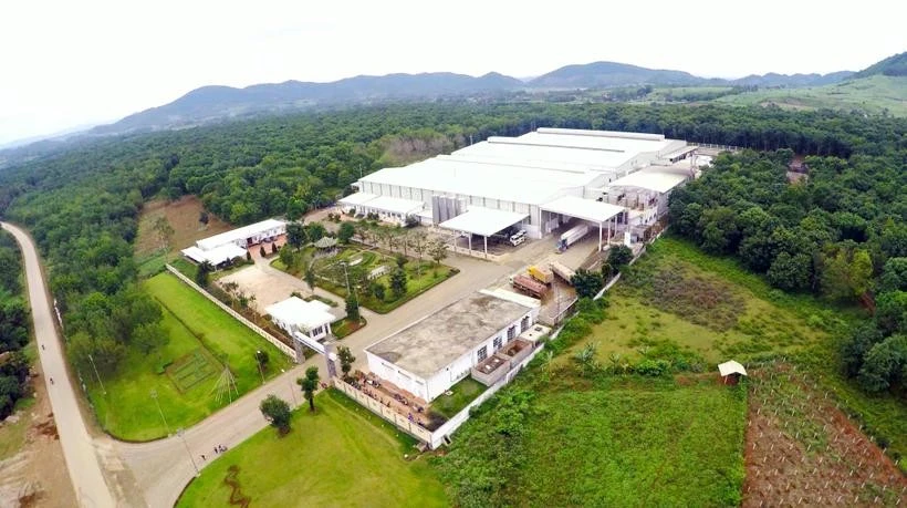 La BAD soutiendra des projets clés du Vietnam axés sur la transformation durable du secteur rizicole, la conservation des écosystèmes et l'amélioration de la qualité de l'environnement. Photo: Vietnam+