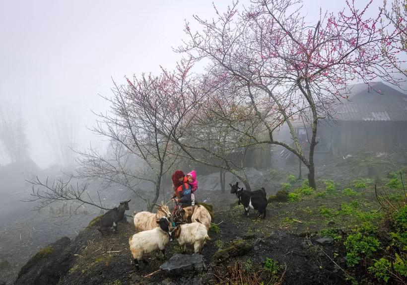 La culture locale rend les destinations vietnamiennes attrayantes. Photo : VietnamPlus