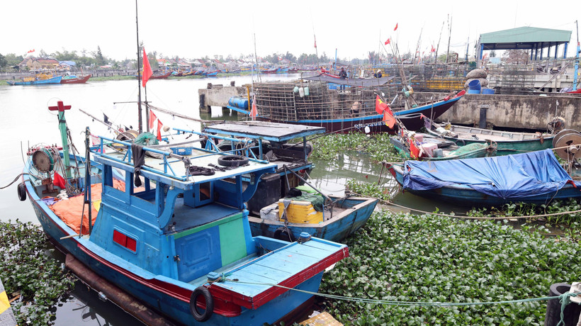 Da Nang restructure sa flotte de pêche pour protéger les ressources côtières. Photo: VNA
