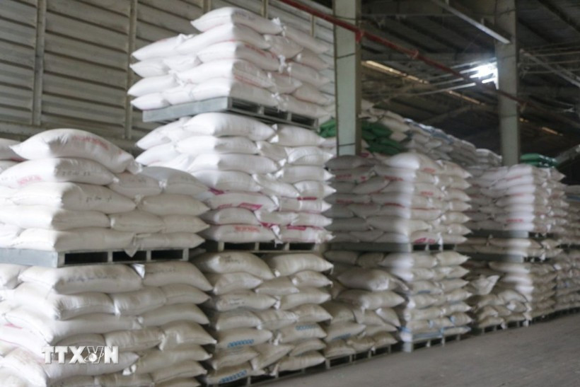 Les exportations vietnamiennes devraient atteindre 8 millions de tonnes cette année. Photo: VNA