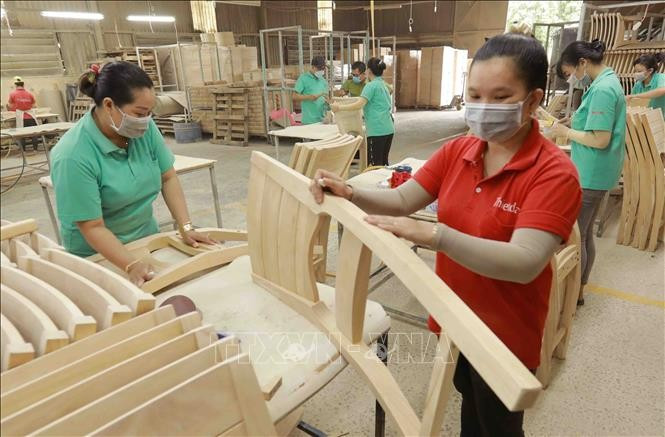 Les exportations vietnamiennes de produits agricoles, sylvicoles et aquatiques sont estimées à 45,37 milliards de dollars sur les huit premiers mois de 2025. Photo: VNA