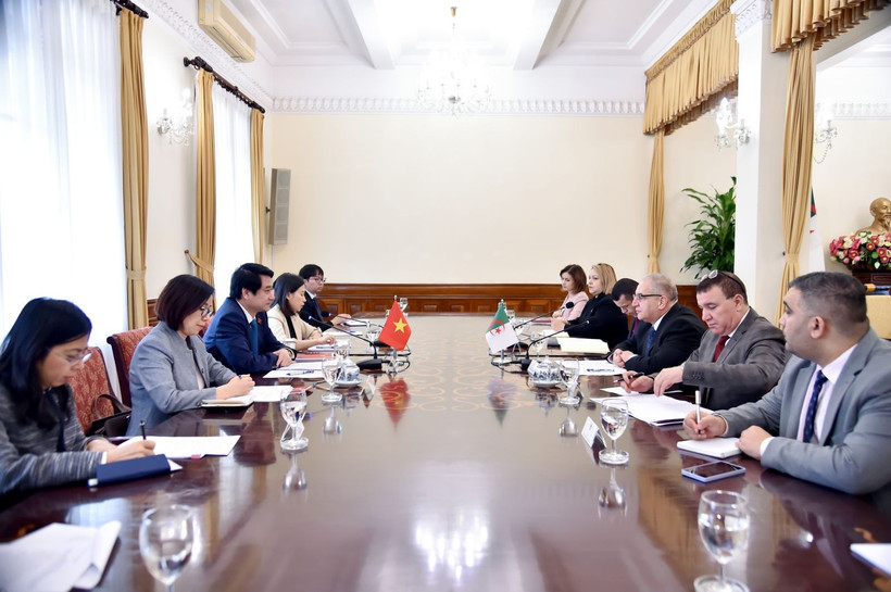 Le Vietnam et l'Algérie tiennent leur 4e consultation politique. Photo: VNA