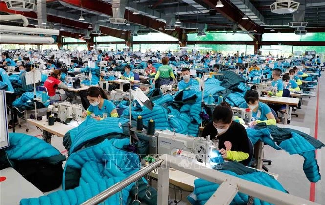 Les exportations vietnamiennes de textile et d'habillement devraient atteindre 44 milliards de dollars en 2024. Photo: VNA