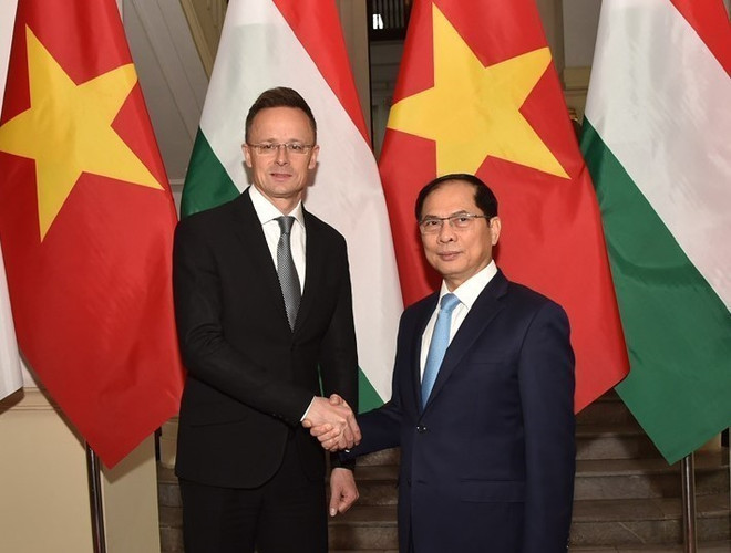 Le vice-PM et ministre des AE Bui Thanh Son (droite) et le ministre hongrois des AE et du Commerce extérieur Szijjártó Péter. Photo: VNA son.jpg