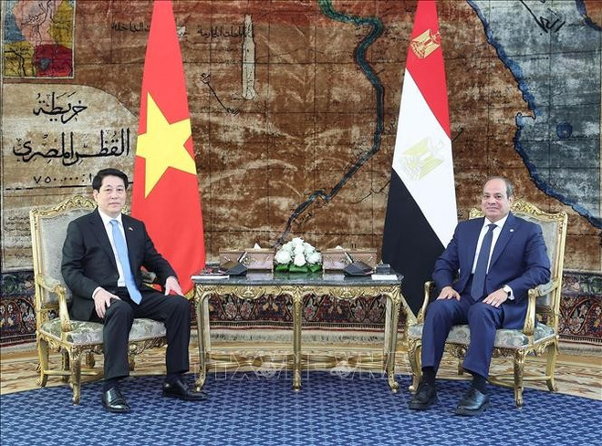 Le président Luong Cuong (gauche) et son homologue égyptien Abdel Fattah Al-Sissi lors de l'entretien restreint. Photo: VNA al-sissi.jpg