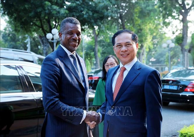 Le vice-Premier ministre et ministre des Affaires étrangères Bui Thanh Son (droite) et le ministre des Affaires étrangères, des Affaires internationales, du Commerce et de l'Énergie du Commonwealth de la Dominique, Vince Henderson. Photo: VNA son.jpg