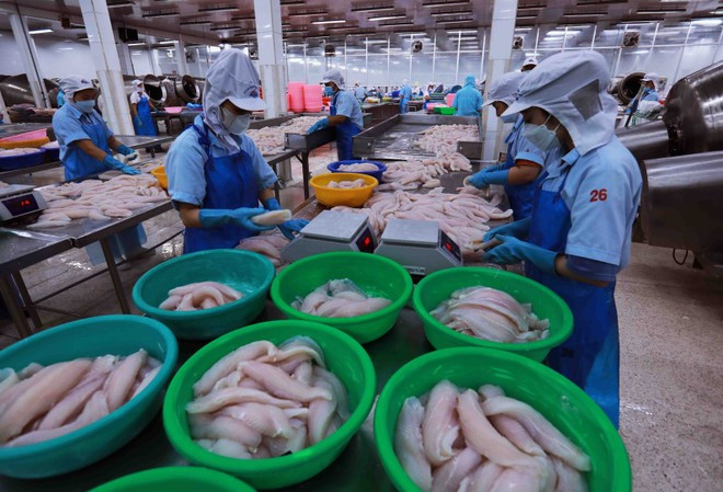 Transformation de fruits de mer pour l'exportation. Photo : Vietnam+ xk.jpg