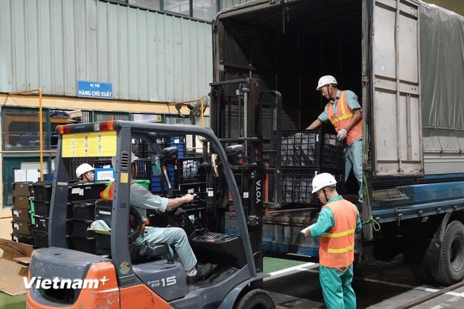 L’innovation et l’amélioration de la qualité des produits sont des solutions pour favoriser les exportations durables. Photo : VietnamPlus exportation.jpg