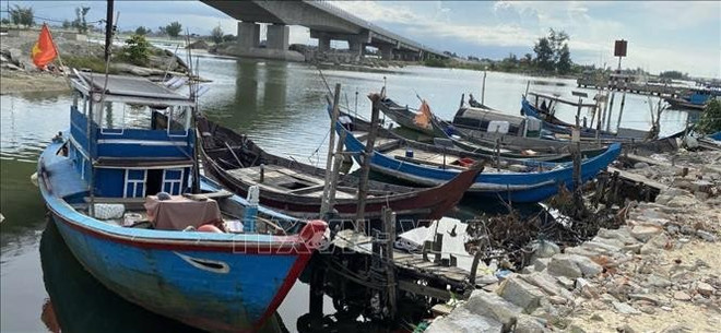 Une série de bateaux de pêche ont jeté l'ancre en toute sécurité. Photo: VNA bateaux.jpg