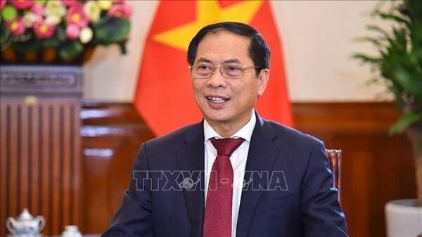 Le vice-PM et ministre des Affaires étrangères Bui Thanh Son. Photo: VNA sn.jpg
