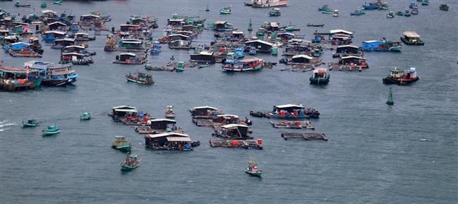 La pisciculture de pleine mer au large de Phu Quôc. Photo: VNA aquaculture.jpg