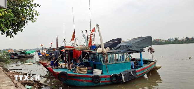 Des bateaux de pêche au quai de Chanh, dans le quartier de Quang Yên, province de Quang Ninh. Photo : VNA) bateau.jpg