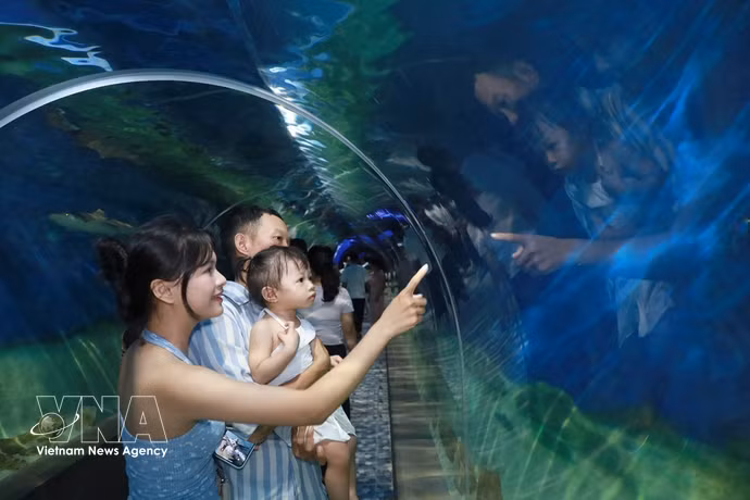 Des touristes apprécient de découvrir la vie marine au musée de l'Institut océanographique de Nha Trang. Photo: VNA