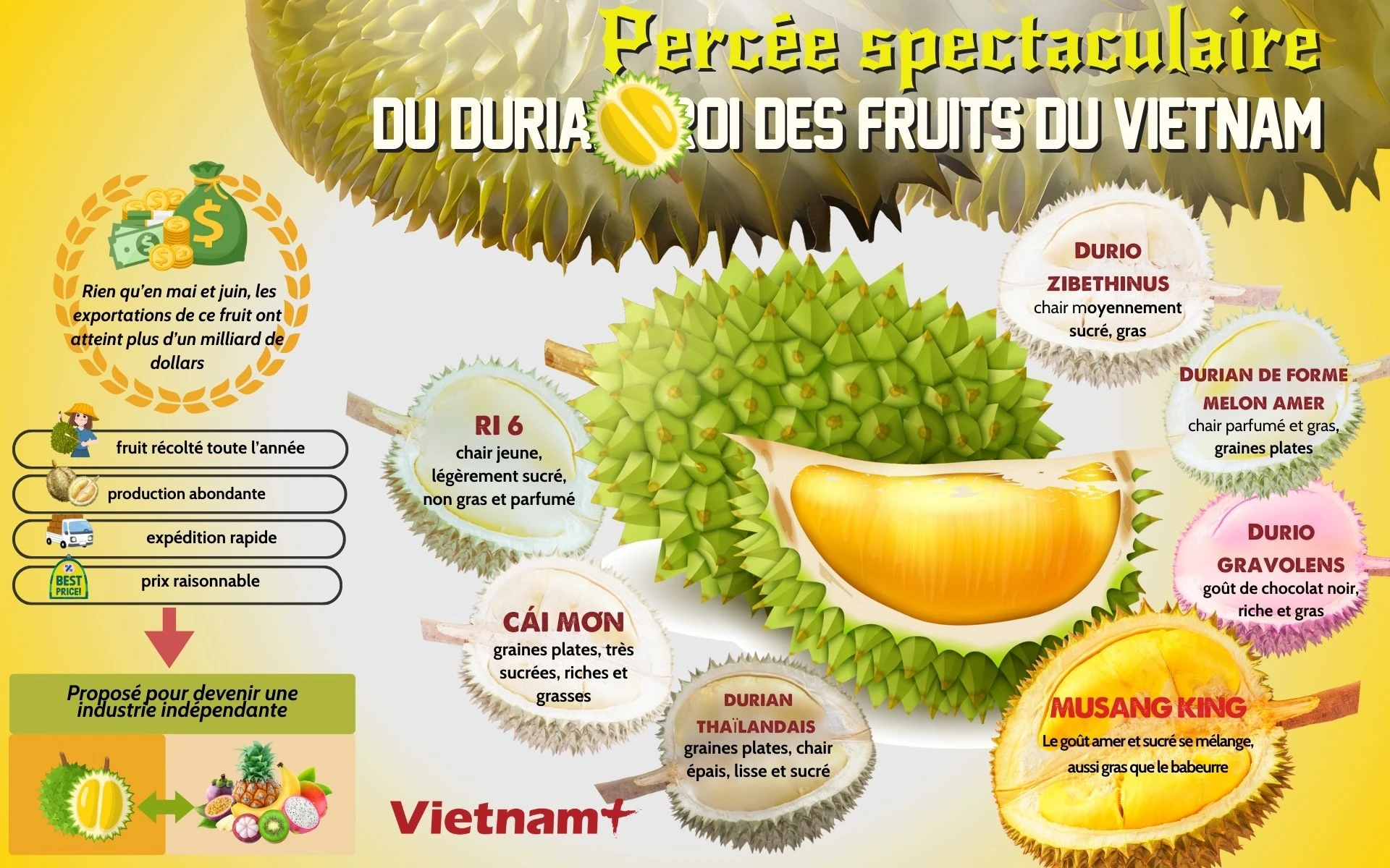 Percée spectaculaire du durian, rois des fruits du Vietnam