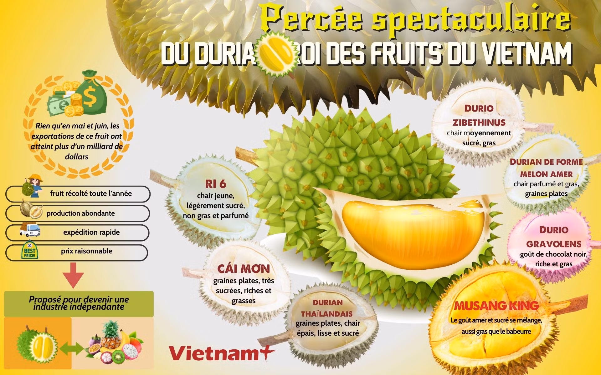 Percée spectaculaire du durian, rois des fruits du Vietnam