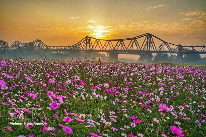 La beauté du pont Long Bien, symbole culturel et historique de Hanoi. Photo : VNA