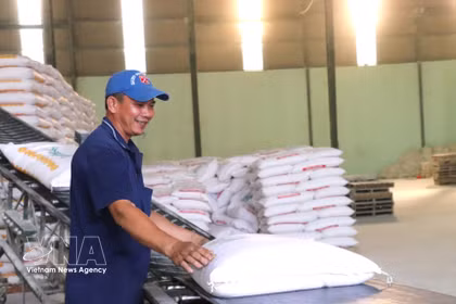 Activités de production à la société par actions Tan Dong Tien (quartier de Khanh Hau, province de Tay Ninh). Photo: VNA