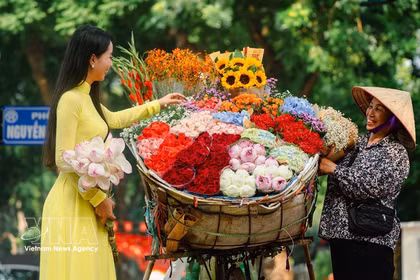 Les charrettes de fleurs ambulantes sont l’une des belles particularités de l’automne hanoïen. Photo: VNA