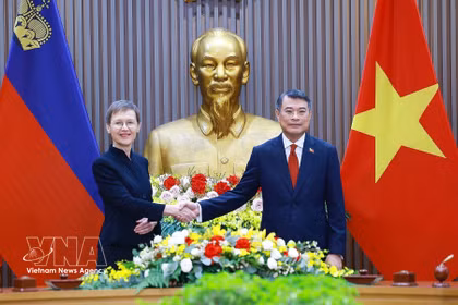 Le Premier ministre vietnamien Le Minh Hung et la Première ministre liechtensteinoise Brigitte Haas. Photo: VNA