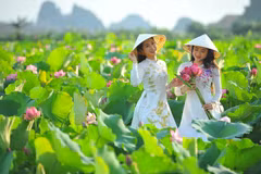 Ninh Binh, le pays des lotus en fleur, une destination incontournable