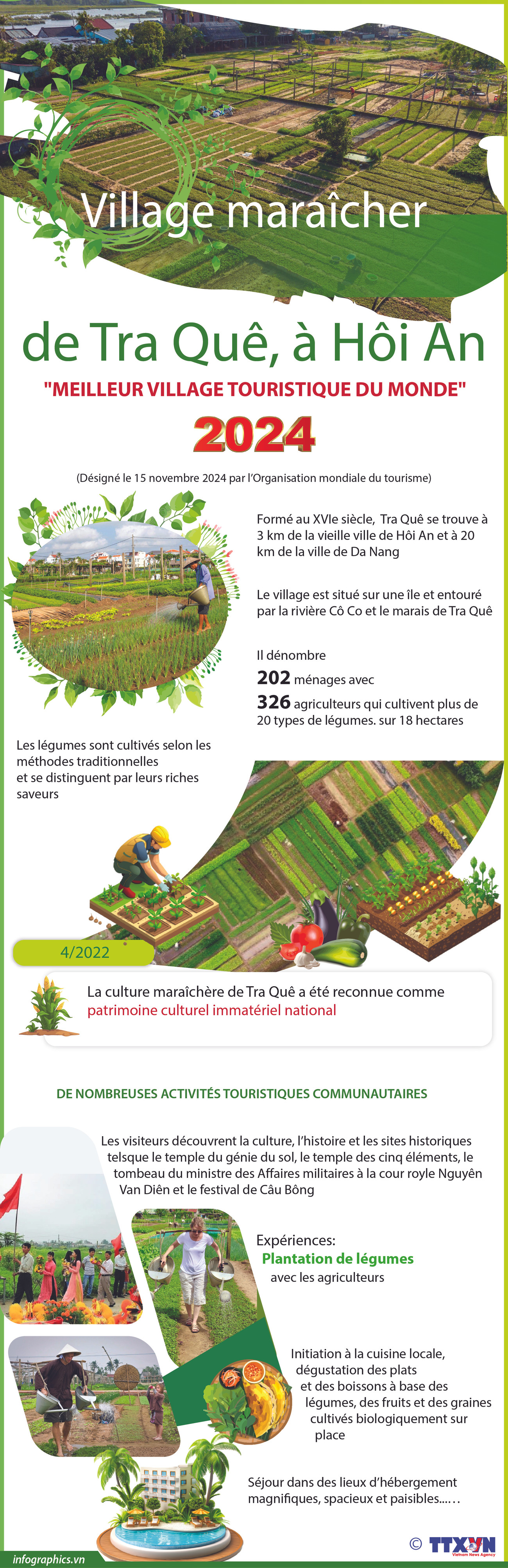 2024-11-16_vn-lang-rau-tra-que_V02_H84_H84.jpg