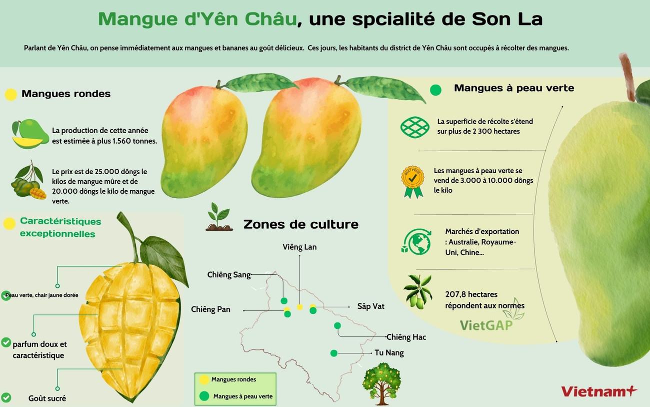 Xoài Yên Châu - Phap.jpg