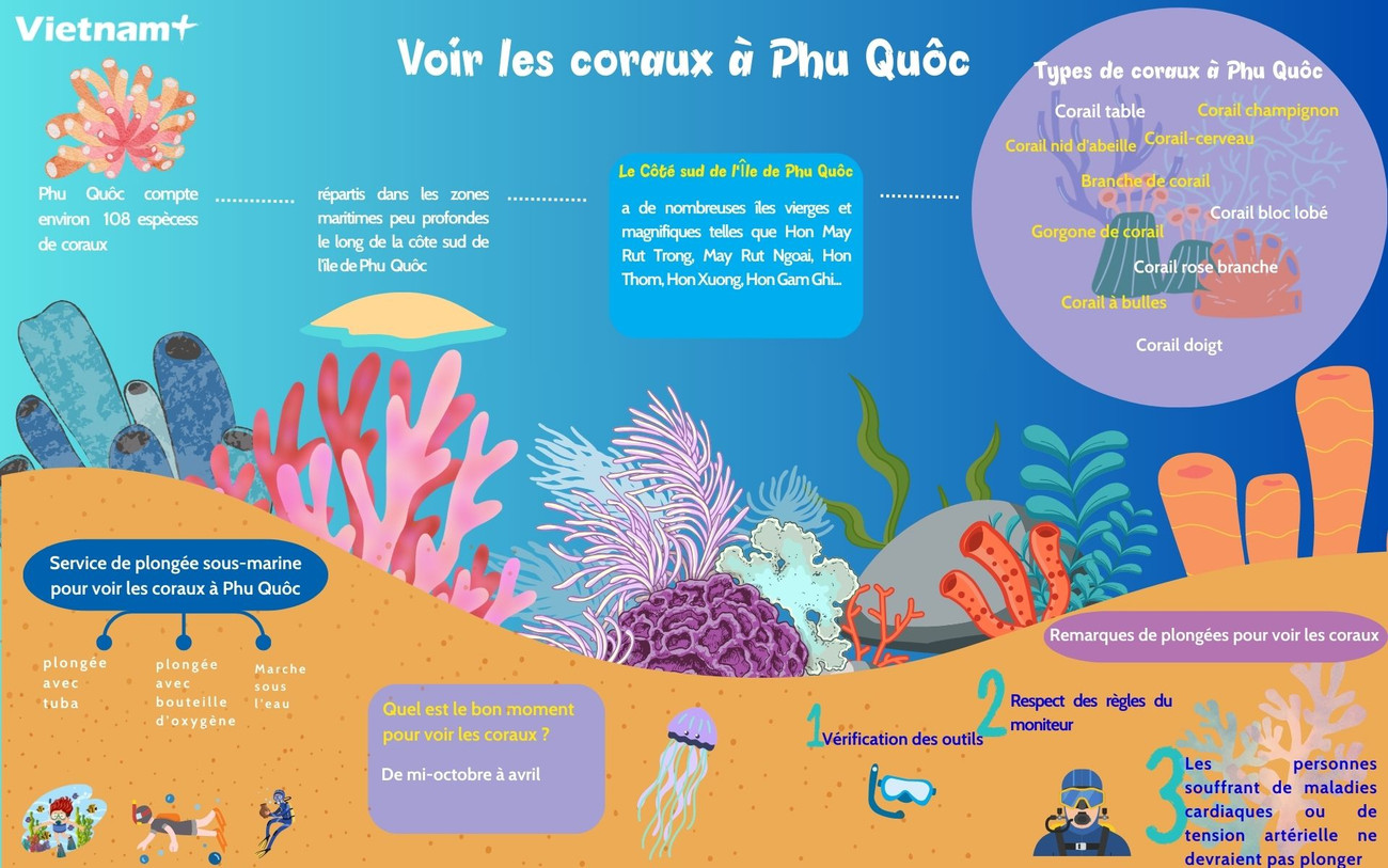 Phap - ngắm san hô ở Phú Quốc (1).jpg
