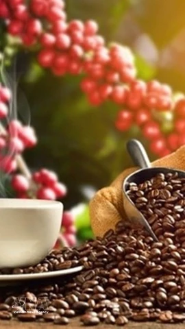 Du volume à la valeur : la nouvelle stratégie de la filière caféière vietnamienne