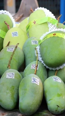 Valorisation des produits agricoles vietnamiens