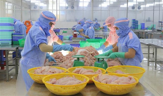 vna-potal-an-giang-dat-kim-ngach-xuat-khau-tren-100-trieu-usd-trong-thang-dau-nam-7857299.jpg