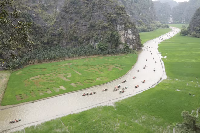 mac-du-lua-con-xanh-nhung-buc-tranh-da-dan-duoc-hinh-thanh-thu-hut-nhieu-du-khach.jpg
