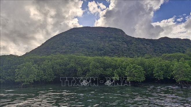 La reforestation des mangroves, la restauration des récifs coralliens et la protection des herbiers marins sont essentielles pour renforcer la capacité de stockage du carbone, tout en protégeant les côtes. Photo: VNA con-dao-10925-11.jpg