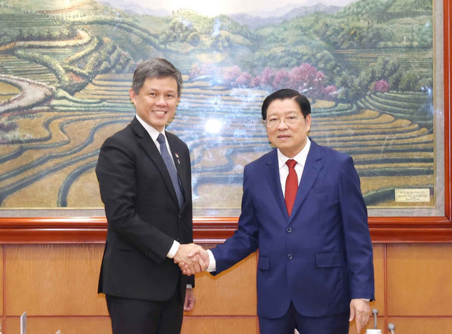 Le membre du Bureau politique, secrétaire du Comité central et chef de la Commission centrale des affaires intérieures du PCV, Phan Dinh Trac (droire), et Chan Chun Sing, vice-secrétaire général du Parti d’action populaire (PAP) de Singapour. Photo: VNA img-1236.jpg