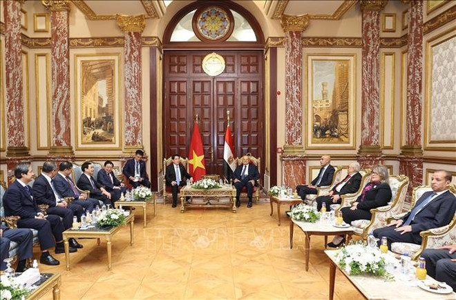 La réunion entre le président Luong Cuong et le président du Sénat égyptien, Abdel-Wahab Abdel-Razeq. Photo: VNA thuong-vien-3.jpg