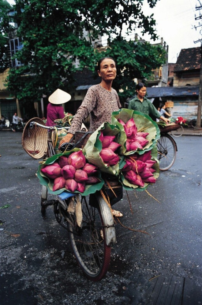 « Lotus en juin » (2005). Photographie de Nicolas Cornet, présentée à l'exposition. Photo: VietnamPlus nicolas-cornet-3.jpg