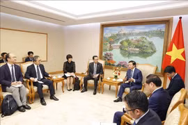Le Vietnam et le Japon promeuvent des mécanismes de finance verte