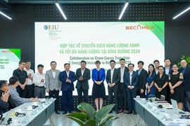 Binh Duong et le Royaume-Uni coopèrent pour promouvoir l'énergie verte