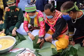 Bientôt programme « Gâteau de riz gluant vert – Têt pour les pauvres » 2024