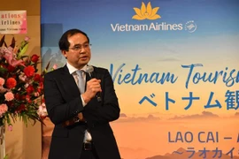 La province de Lao Cai appelle à davantage d'investissements japonais