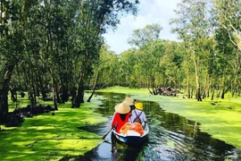 U Minh Thuong : une destination touristique écologique et culturelle 