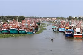 Le vice-PM Tran Luu Quang appelle à des sanctions strictes contre les violations INN